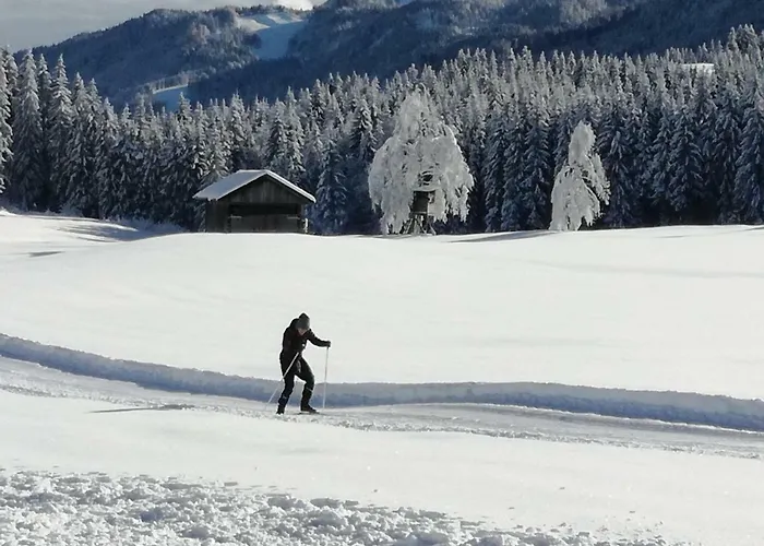 Гостевой дом Haus Edelweiss 3*